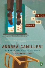 A Voice in the Night